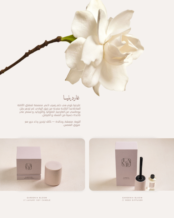 ⁦Gardenia Bloom – Reed Diffuser⁩ - الصورة ⁦4⁩